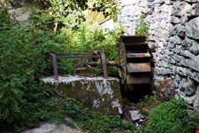  mulino moro di bottonera