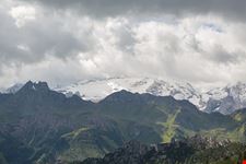  marmolada
