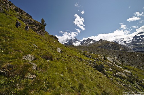  val roseg