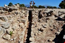  rovine di roselle
