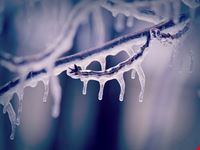  artic ice bar
