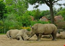  toronto zoo