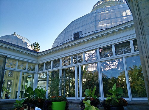  allan gardens