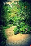  edwards garden