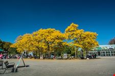  high park