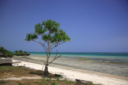Spiaggia tropicale