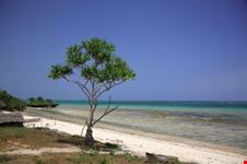 Spiaggia tropicale