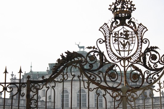 Stupinigi - Il cervo