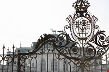 Stupinigi - Il cervo