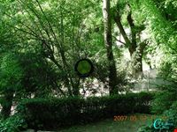  il parco botanico di san liberato