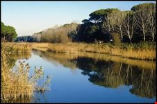  lido di castel fusano
