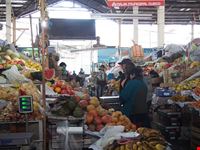  mercato centrale di san pietro