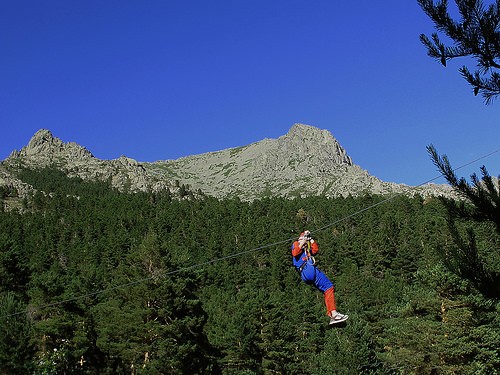  parque forestal