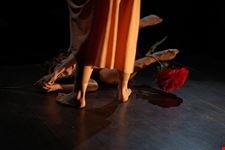  tel aviv international dance festival