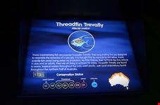  melbourne aquarium