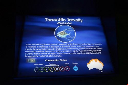 Melbourne Aquarium Melbourne avlxyz - Attribution-NonCommercial-ShareAlike (http://creativecommons.org/licenses/by-nc-sa/2.0/) avlxyz