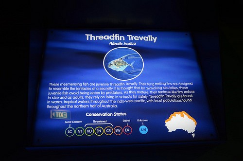  melbourne aquarium