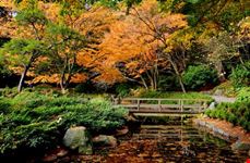 Nitobe Memorial Garden