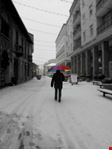  corso magenta