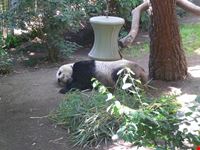 zoo