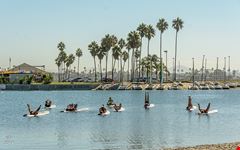  mission bay