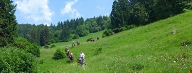 toscolano-maderno reiten in toscolano maderno- alto garda park