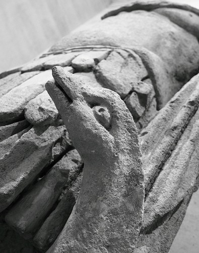  museo calvet