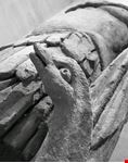  museo calvet