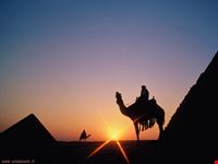 il cairo egyptian treasures