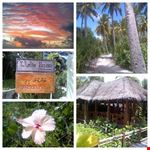 male island exlporation