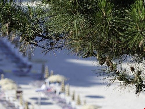Taunus - Fotoperhobby - Fotoperhobby - Attribution-ShareAlike License (http://creativecommons.org/licenses/by-sa/2.0/)