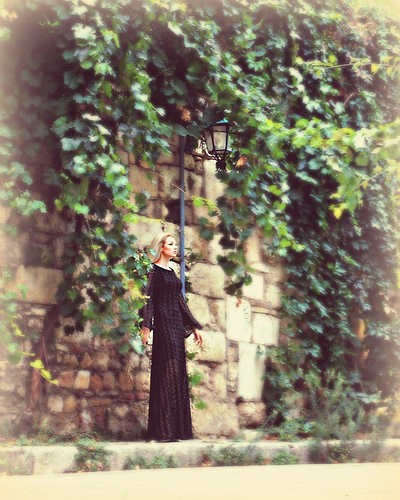  plaka