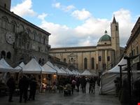  piazza arringo