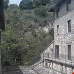  cartiera papale