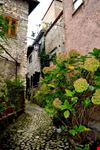 Sermoneta