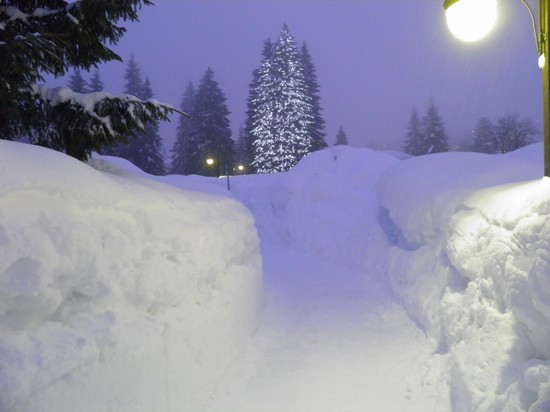 Paesaggio invernale