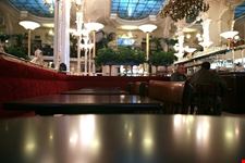  brasserie lipp
