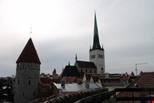  tallinn in a day