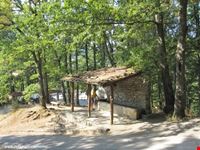 Bosco Magnano