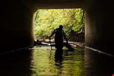  kenilworth park and aquatic gardens