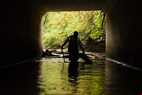  Washington chesbayprogram - Attribution-NonCommercial (http://creativecommons.org/licenses/by-nc/2.0/) chesbayprogram