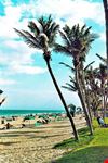  lauderdale beach
