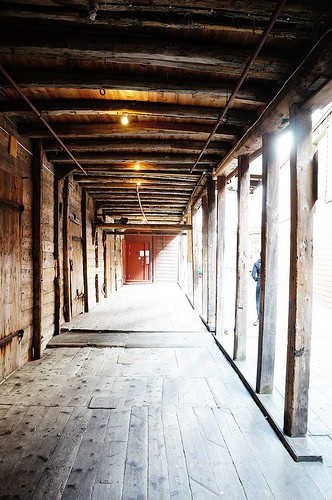  bryggen