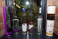  bar e discoteche