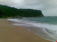  playa canyelles