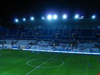  stadio la rosaleda