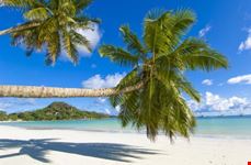 Paesaggio tropicale