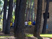  parque grande jose antonio labordeta