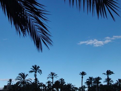 El Palmeral - olgaberrios - olgaberrios - Attribution License (http://creativecommons.org/licenses/by/2.0/)