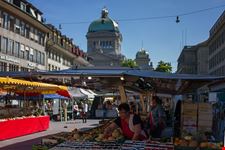  piazza del mercato